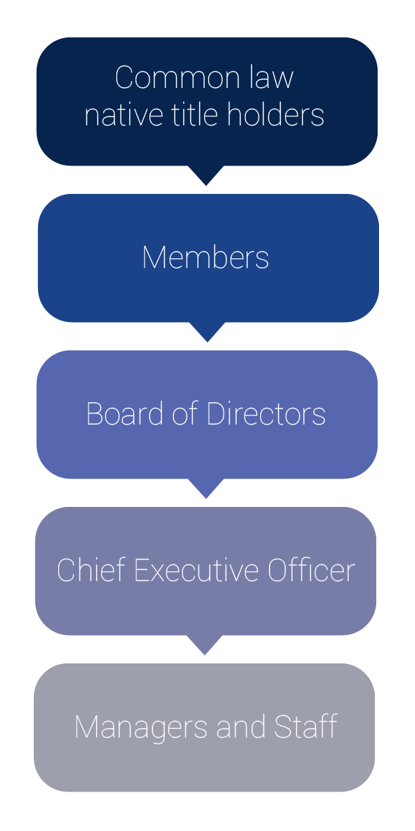 Flow chart showing PBC governance structure: common law native title holders, members, board of directors, chief executive officer, managers and staff